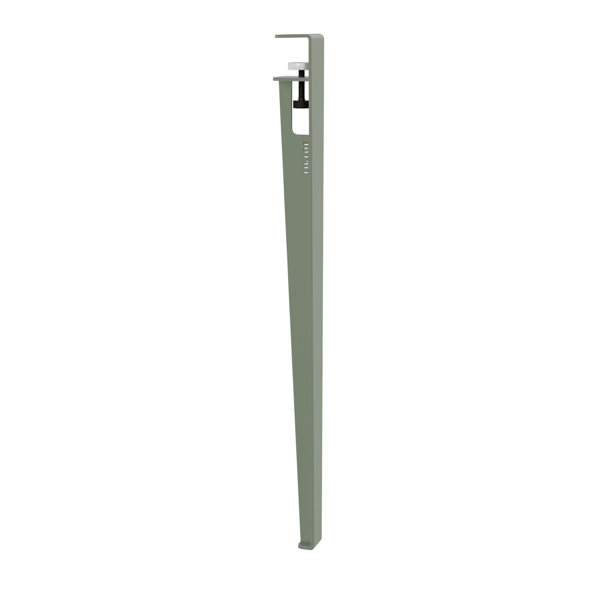 Pied 75 cm Eucalyptus Gris