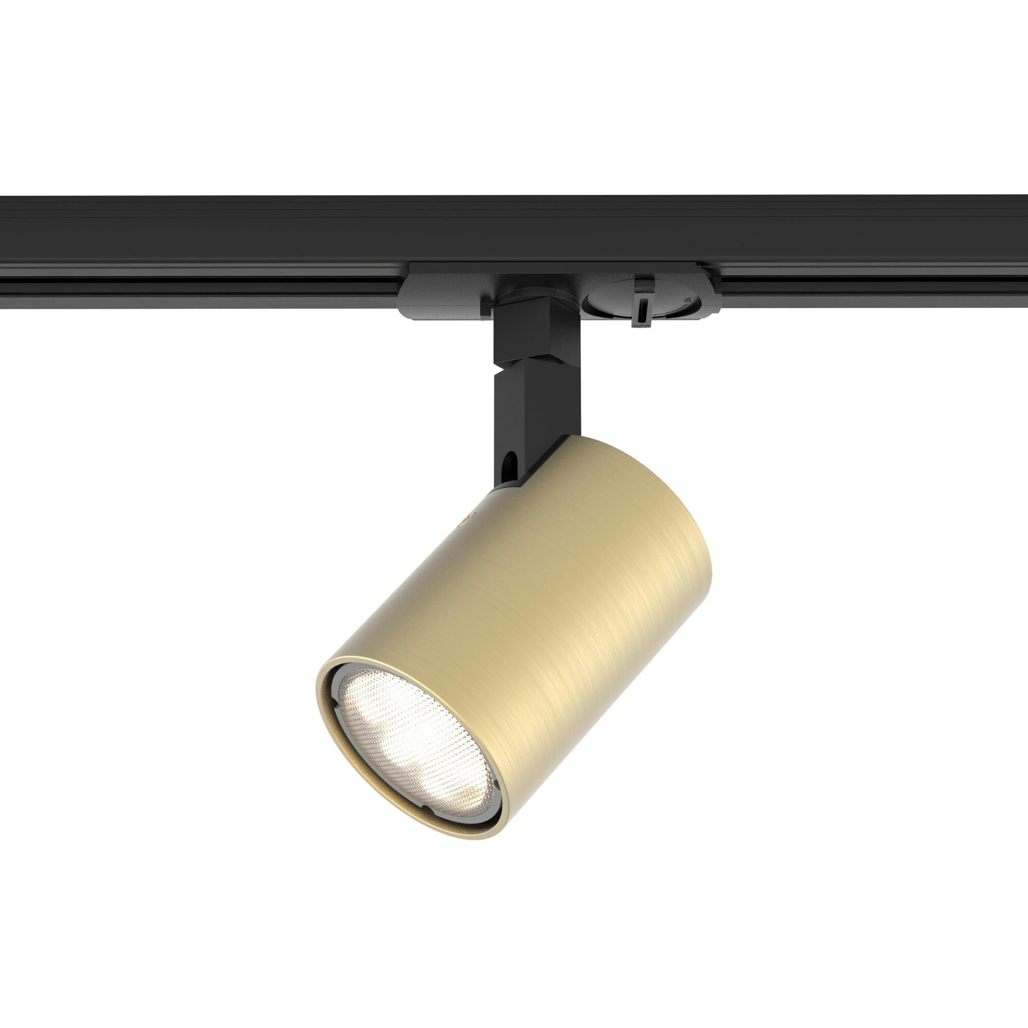 Ascoli Taklampa Matt Guld