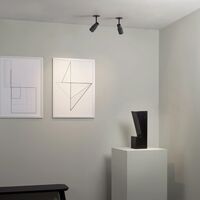 Apollo Single Spot Matt Black