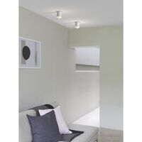 Ottawa Plafondlamp Mat Wit