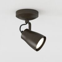 Juno Single Ceiling Light Bronze