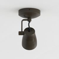 Juno Single Ceiling Light Bronze