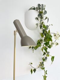 Oblique Floor Lamp Petrol/Brass