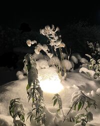 Eggy Pop Out Ø32 Außenlampe