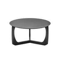 Black lacquered ash