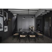 Plafonnier 2 Ceiling Light Black & Brass Fixed