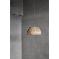 TR19 Vit Mindre Pendel
