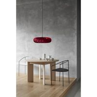 TR5 Red Pendant Small