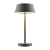 Companion T2 Table Lamp Large Matt Gray