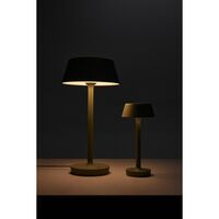 Companion T2 Tafellamp Groot Mat Groen