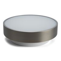 Moon C260 Ceiling Light Titanium