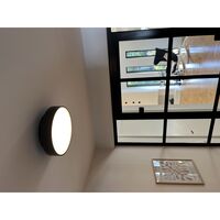 Moon C260 Ceiling Light Titanium