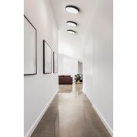 Moon C260 Ceiling Light Titanium