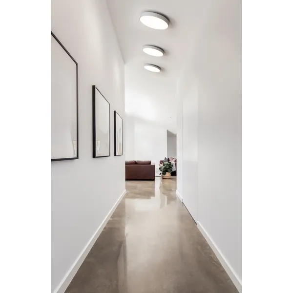 Moon C260 Ceiling Light Titanium