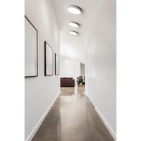 Moon C260 Ceiling Light Titanium