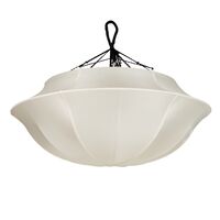 Umbrella Parapluie Blanc Cassé