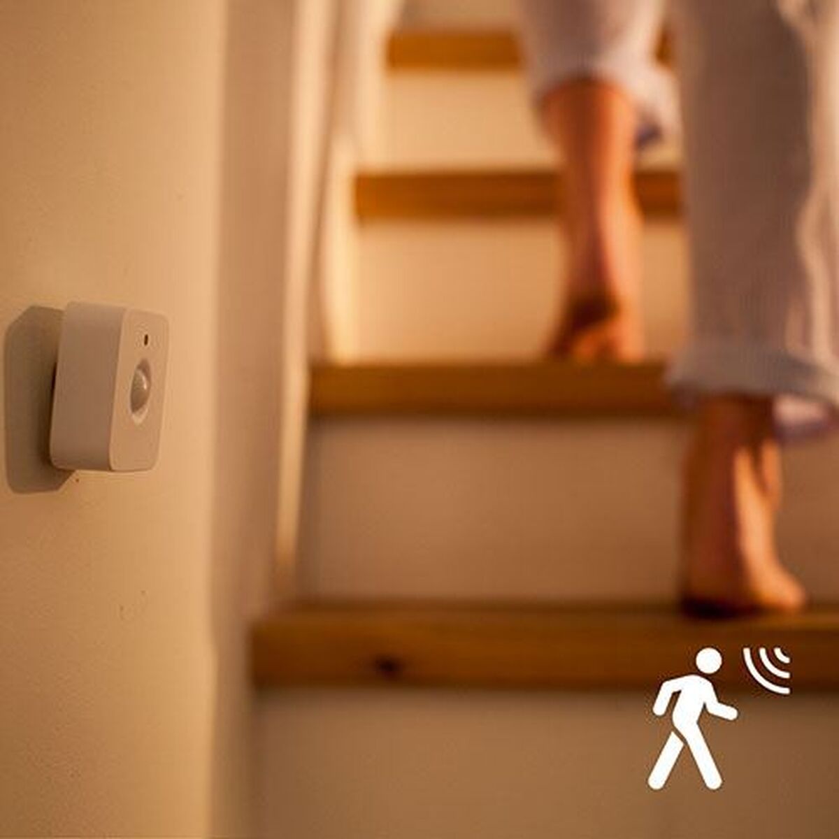 Motion Sensor