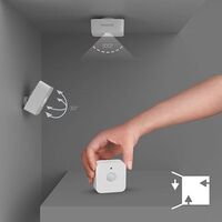 Motion Sensor