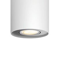 Pillar Single Spot Wit Incl. Demper