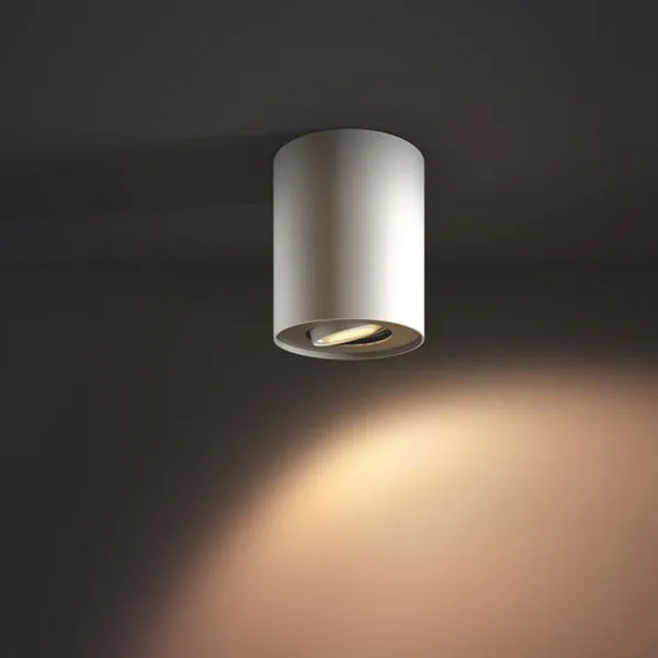 Pillar Single Spot Wit Incl. Demper