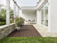 S 40 Cantilever Spisebordsstol Rustfrit Stål/Iroko