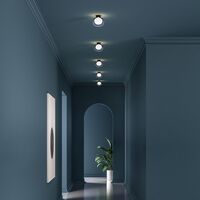 Nabila 552.41 Wand-/ Plafondlamp Mat Zwart/ Geborsteld Messing met Helder Glas