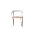 White / Beech