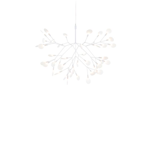 Heracleum III Riipus Pieni Valkoinen