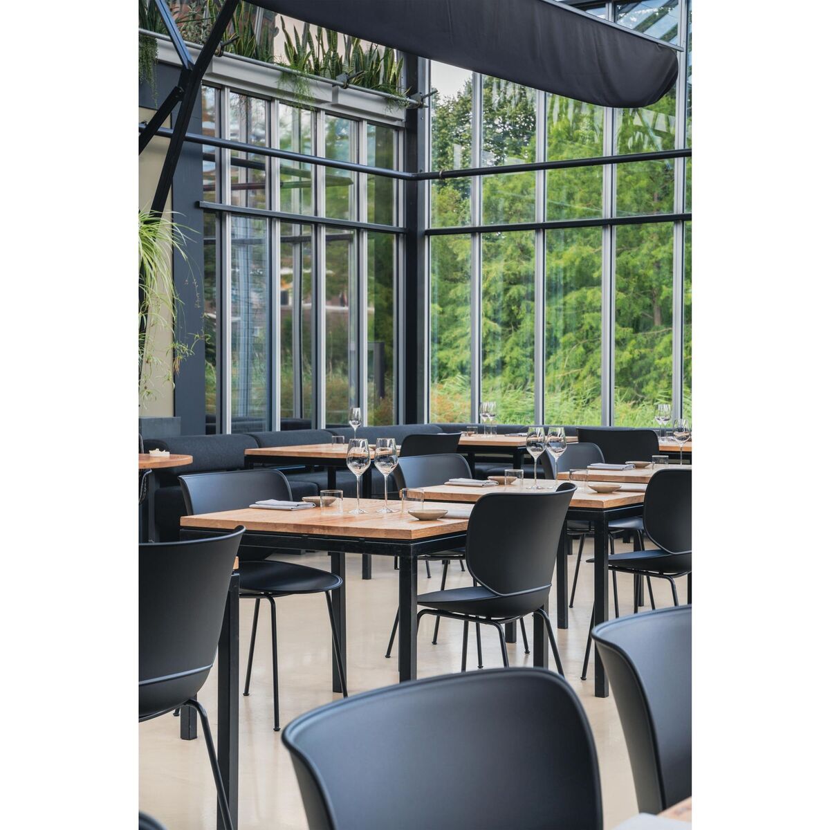 Moooi Hana Dining Chair Black