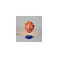 Magna Graecia Collection Medusa Mask Table Lamp Terracotta/ Blue