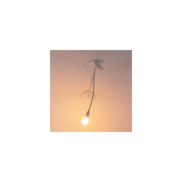 Sparrow Wall Lamp Adjustable White