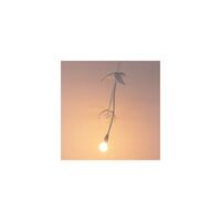 Sparrow Applique Murale Orientable Blanc