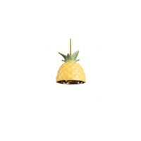 Vitamin Collection Ananas Taklampe Multifarget