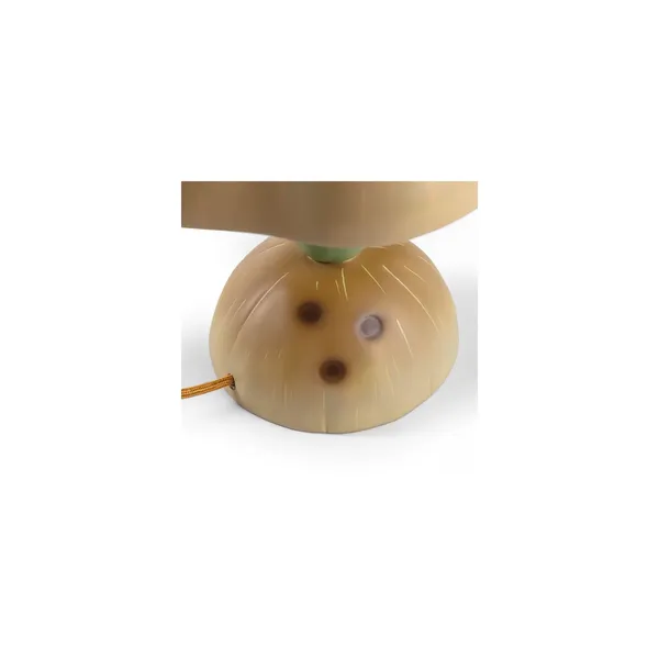 Vitamin Collection Pumpkin Table Lamp Multicolored