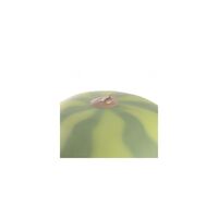 Vitamin Collection Watermelon Table Lamp Multicolored