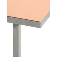 Alu Eettafel 240x85 cm Roze