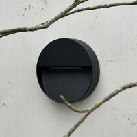 Pluto Outdoor Wall Lamp Black