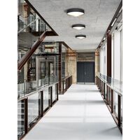 Lucia 60 Lampada da Soffitto Nera/Oro