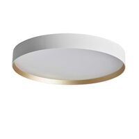 Bianco / Oro