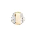 Transparent / Gold