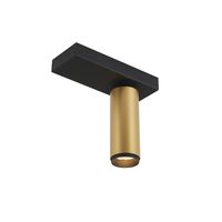 X-Beam Einzel Spot Gold/Schwarz
