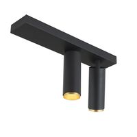 X-Beam Double Spot Sort/Guld