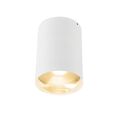 White / Gold