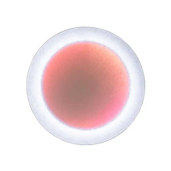MoodMoon Round 60 Væglampe Hvid/Rød