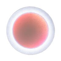 MoodMoon Round 85 Wandlamp Wit/ Rood