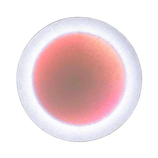 MoodMoon Round 85 Wandlamp Wit/ Rood