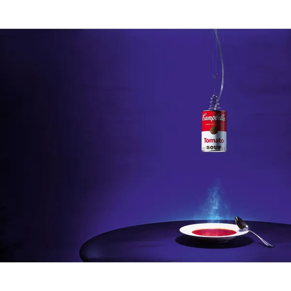 Canned Light Pendelleuchte Rot