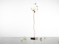 I Ricchi Poveri Five Butterflies Gulvlampe Sort