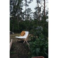 Boogie Armchair 914 Linen/Raw Beech