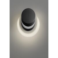 Pin-Up 2700K Væg/Loftlampe Mat Sort